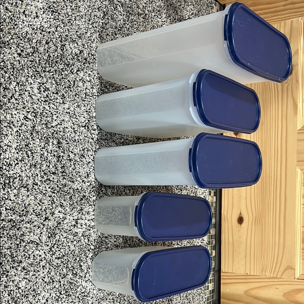 Blue Lid Tupperware Super Oval Set